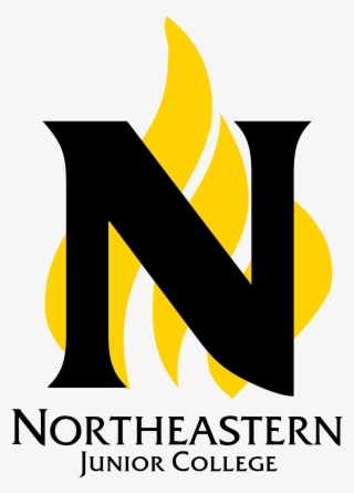 Northeastern Junior Flame Logo - Graphic Design