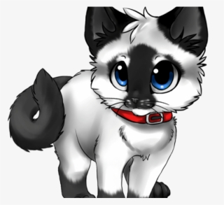 Kitten Clipart Anime Cat - Cat Anime Kitten Transparent PNG - 640x480 -  Free Download on NicePNG