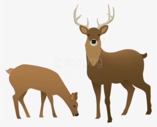 Free Png Stag And Doe Png Images Transparent - Deer Clipart Transparent Background