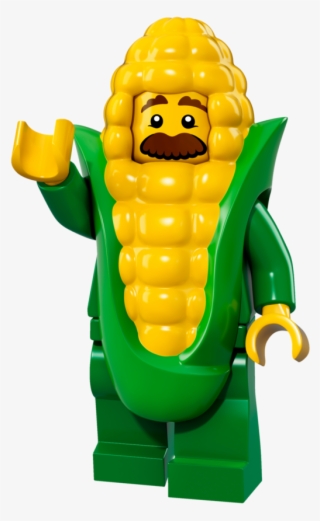 Lego Series17