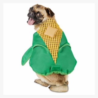 Corn On The Cob From $13 - Corn Cob Dog Costume
