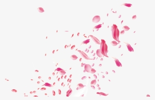 Flower Petals For Wedding - Rose Petals Falling Transparent