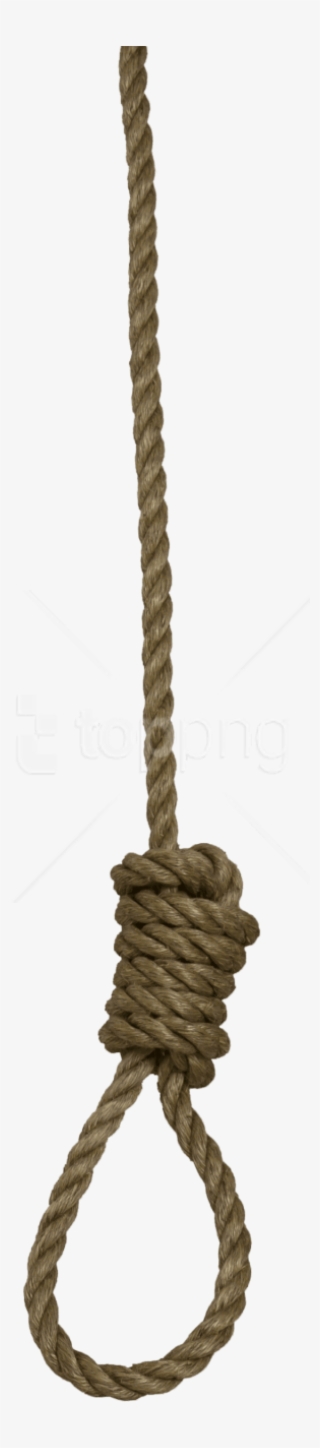 Free Png Download Rope Png Images Background Png Images - Hanging Rope Transparent