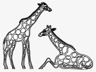 Image Free Library Collection Of Short High Quality - Line Drawings Of Giraffes