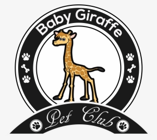 Baby Giraffe - Pig