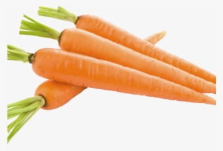 Carrot Clipart Twenty Two - Carrots Png