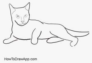 Cat Drawing And Coloring - Minskin