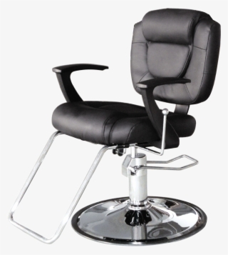 Puresanacachet All-purpose Chair - Barber Chair