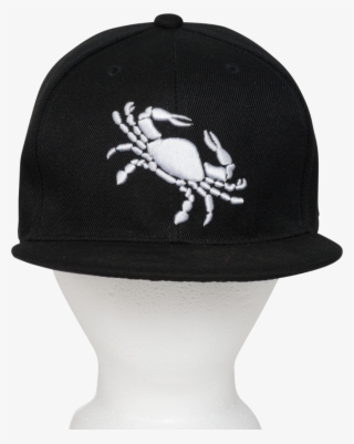 Cancer - Weevil