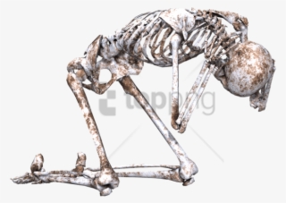 Free Png Download Skeleton On Its Knees Png Images - Skeleton Kneel