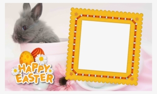 Picture Frame