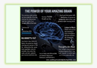Back Forth = - Power Of Your Amazing Brain