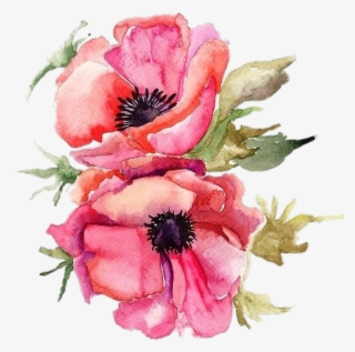#vertical #poppy #pngstickers #png #watercolor #illustration - Bouquet