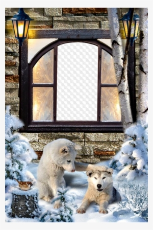 Winter Photo Frame Open Window - Blxecky 5d Diy Diamond Painting By Number Kitswolf(16x16inch/40x40cm)