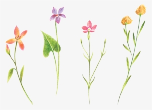Petite Florals - Tattly