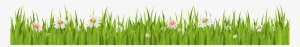 Png Transparente Para Floral Ornamental Grass - Cartoon Grass White Background