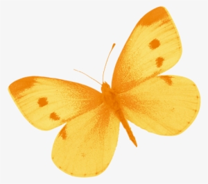 Yellow Butterfly Png By Heemipetal - Butterfly Yellow Watercolor Png