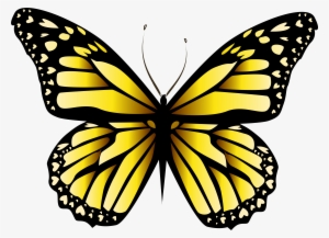 Yellow Butterfly Png - Yellow Butterfly