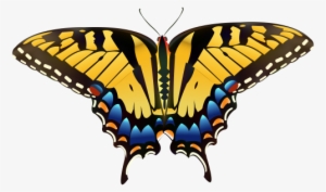 Yellow Butterfly Png Clip Art - Yellow Butterfly Png