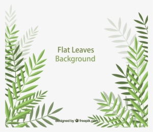 Euclidean Flat Palm Transprent Png Free Download - Leaf
