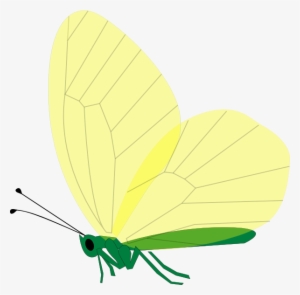 How To Set Use Yellow Butterfly Clipart