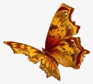 Yellow Butterfly Image - Painting Butterfly Png