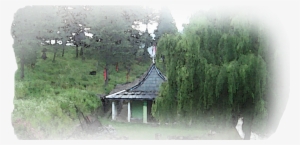 Banner-pic10 - Tree