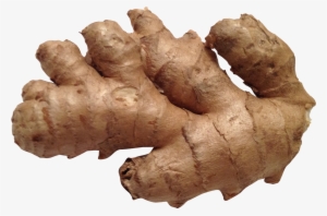 Ginger Png