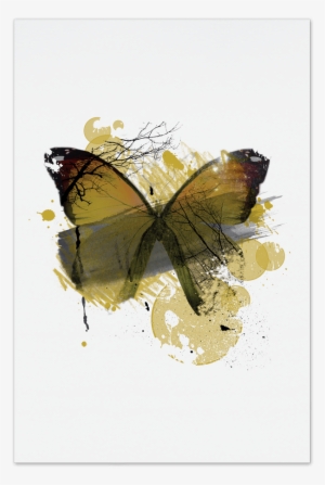 Yellow Butterfly Art Card - Poster