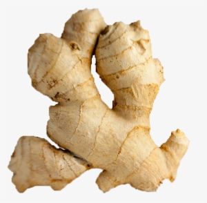 Ginger Png Photos - Ginger .png
