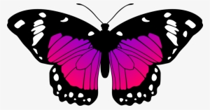 Butterfly By Eiluvision - Pink And Purple Butterfly