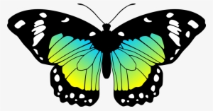 moves clipart real butterfly pencil and in color moves - butterfly blue and yellow