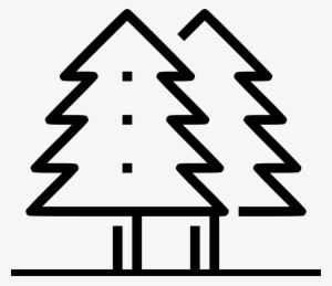 Wild Forest Trees - Christmas Tree Symbol