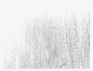 Overlay 077 - Tree