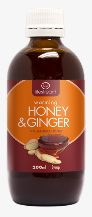 Honey N Ginger 200ml - Lifestream Warming Honey & Ginger Syrup D1697534
