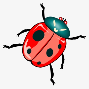 Download Ladybug Png Download Transparent Ladybug Png Images For Free Page 3 Nicepng