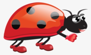 Ladybug - Cartoon Insects