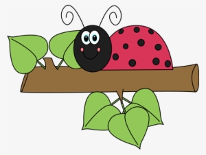 Ladybug On A Branch - Lady Bug Clip Art