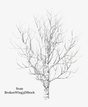 Winter Trees Drawing At Getdrawings Christmas Tree Transparent Png 900x900 Free Download On Nicepng