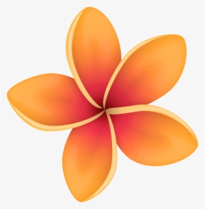 orange tropical flower png clip art image