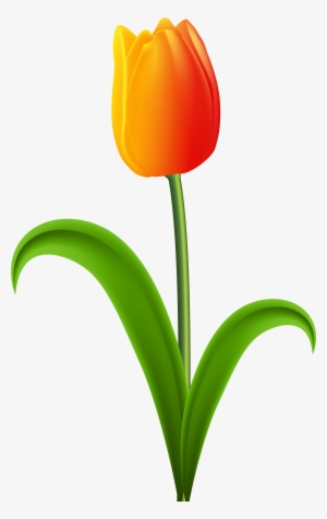 Beautiful Tulip Transparent Clip Art Gallery Yopriceville - Tulips Clipart Png