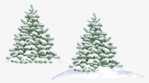 Winter-tree Black - Christmas Tree