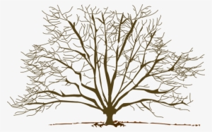 Winter Tree Clipart - Winter Trees Clip Art Png