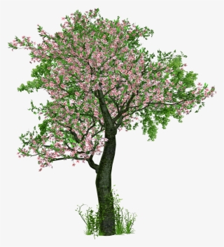 Tree, Deciduous Tree, Flowers, Grass, Digital Art - Trees With Flowers Png
