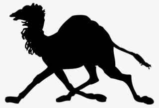 Camel Silhouette Clipart Png