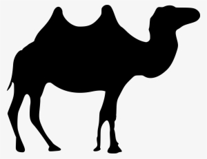 This Free Icons Png Design Of Wild Camel