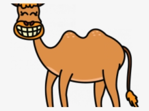 Drawn Camels Easy - Easy Cartoon Step By Step Camel