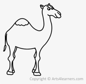 Drawn Camel Doodle - Draw A Camel