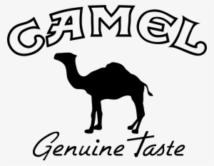 Camel Transparent Logo - Camel Logo