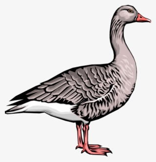 Goose Png - Clip Art